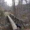 An even-larger footbridge on the Daniel Boone Trail peaks Fido's interest.