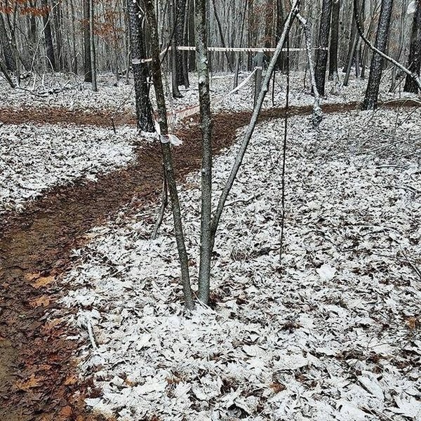Stewardship Trail is often covered in leaves during the winter.