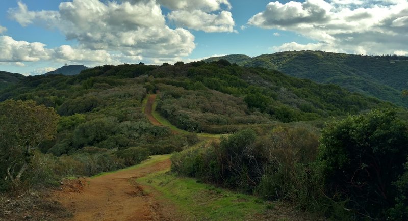 Mt. Umunhum in the distance on the left, Mt. Thayer closer, on the right, as Kennedy Trail approaches its final climb to end near Mt. El Sombroso in the Santa Cruz Mountains