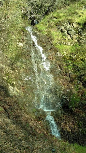 Water cascades along the Limekiln Trail after drenching winter rains.