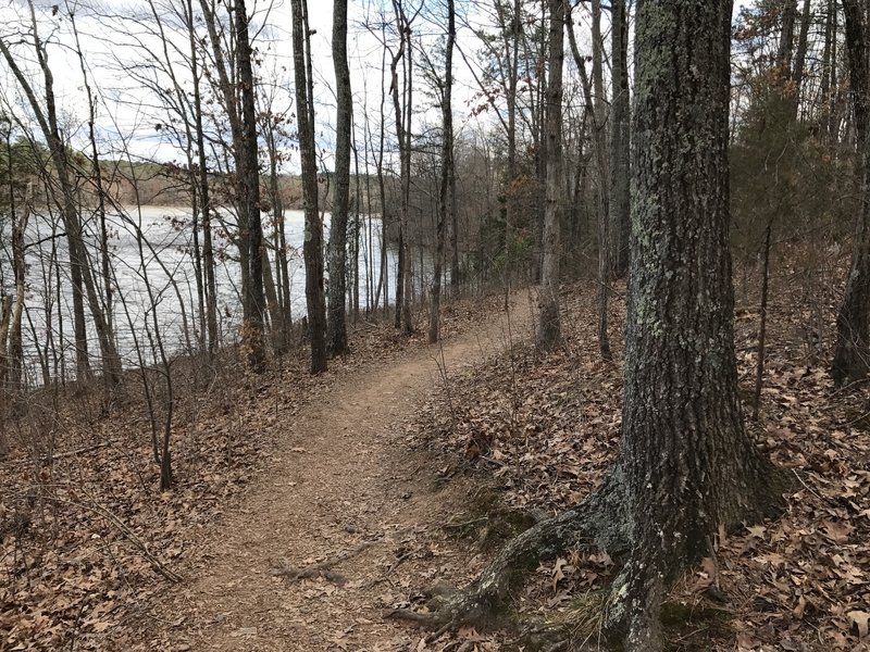 The Lake Trail traverses pleasant forests along a smooth tread.