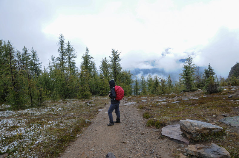 Saddleback Trail Hiking Trail, Lake Louise, Alberta