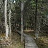 Brule Bog Boardwalk offers dry passage through this portion of the North Country Trail.