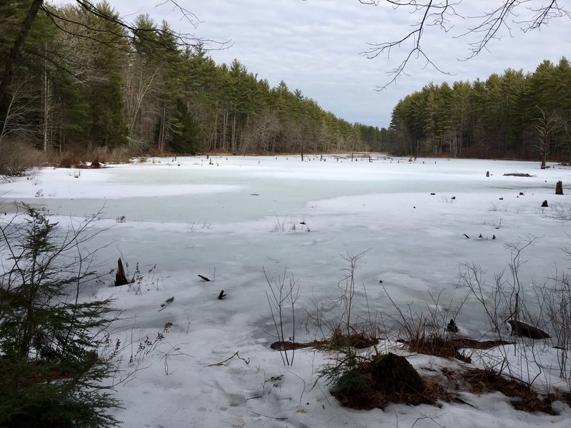 Eastman Meadow Trail offers pleasant views of a frozen Spatterdock Pond during the winter.