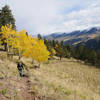 The frequent meadows and aspen groves make the Crystal Lake Trail a scenic hike with great views.