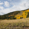 Freshly snow-capped peaks and aspens beautify the trail in the fall!