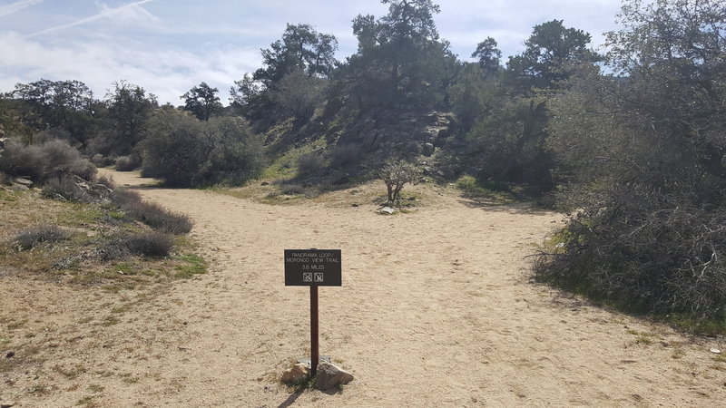 This sign marks the first junction with Panorama Loop. Stick to the right to continue on Warren Peak Trail.