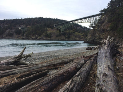 are dogs allowed in deception pass state park