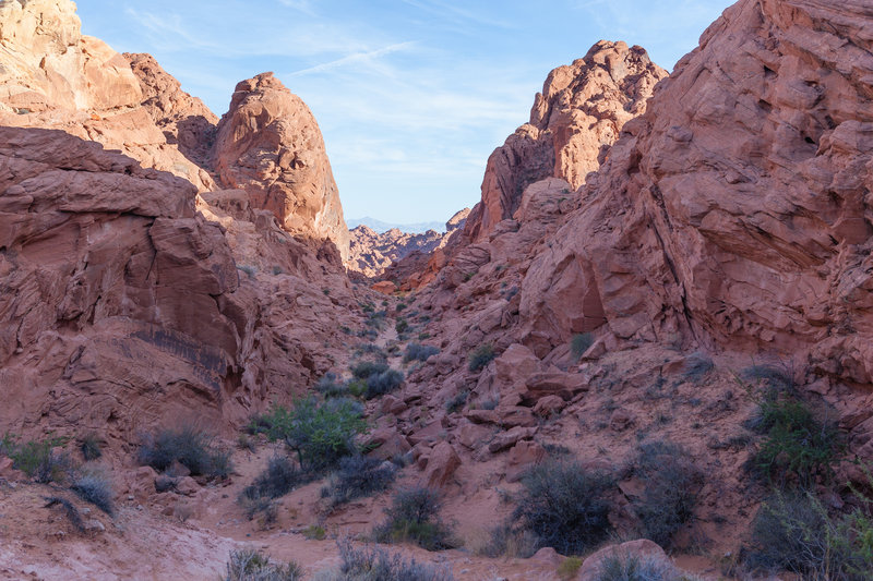 Rainbow Vista Trail traverses this gorgeous red rock corridor.