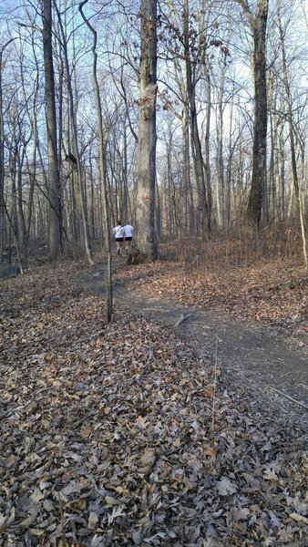 Runners passing by on the Pettoranello-Brookside Trail.