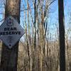 Bear Reserve in Citico Wilderness on Trail 95.