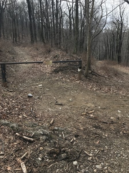 This area is located near the top of Nimblewell Gap Rd. There are three trail/road choices. Runners must take the trail behind this gate!