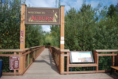 Auburn Environmental Park Boardwalk Hiking Trail, Auburn, Washington