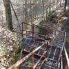 Stairs head down to Yahoo Falls and the Sheltowee Trace.