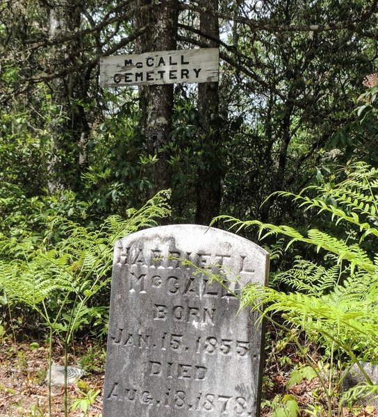 The McCall Cemetery lies in the center of the Cemetery Loop Trail. The