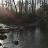 The last crossing of the North Mills River is quick and doable.