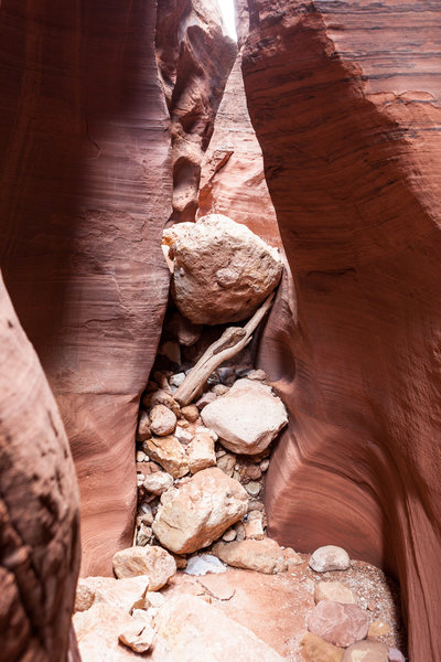 You may have to navigate up and over obstacles like this (the remnant of a flash flood) while traversing the canyon.