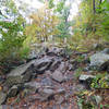 This is an example of the rocky terrain you'll encounter on River Trail.