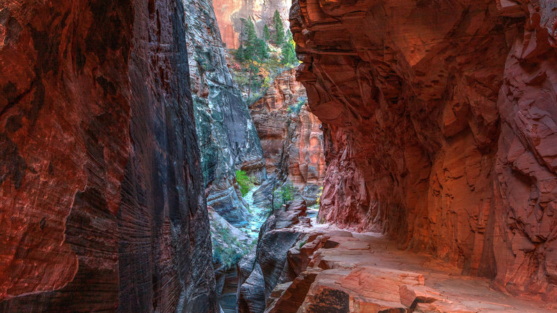 Traverse Echo Canyon's tunnel of color along the East Rim Trail.
