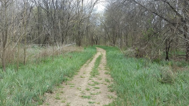 The trail transitions between double and singletrack throughout the property.