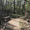 Numerous park benches let you sit and rest during a long hike in the woods.