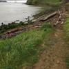 Dillon Point Trail offers great access to the beach and scenic views of the bay.