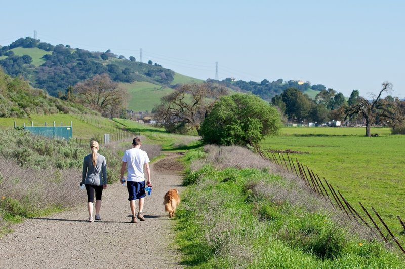 A pair and their pooch walk along the wide Calero Creek Trail.