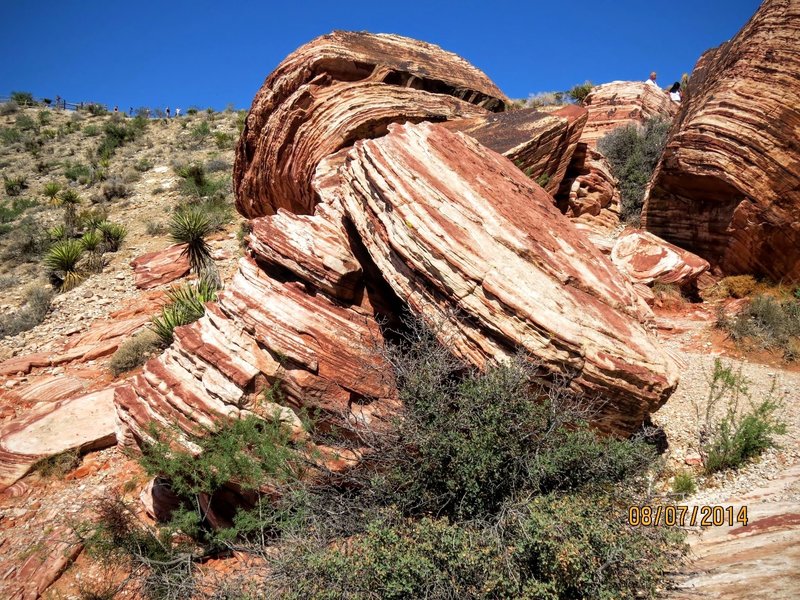 Red Rock Canyon is home to many interesting rock formations.