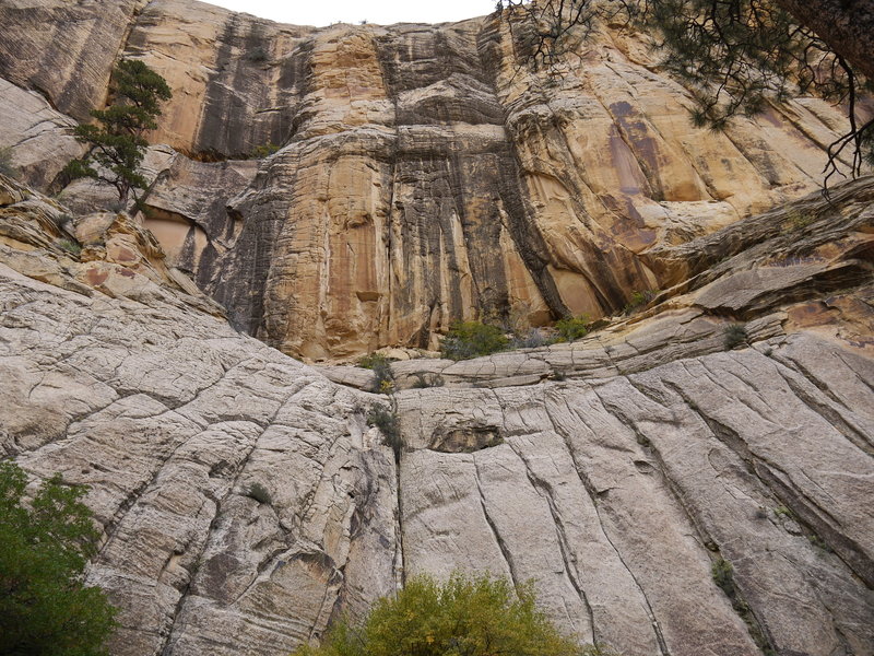 Sandstone, varnished and not, is abundant in Lower Death Hollow.