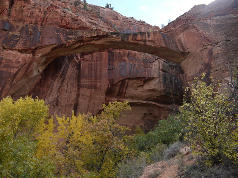 Escalante Natural Bridge is shrouded in beautiful fall colors in the autumn.