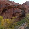 Escalante Natural Bridge is shrouded in beautiful fall colors in the autumn.