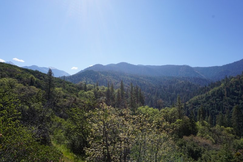 Enjoy great views from the Middle Fork Kaweah Trail.