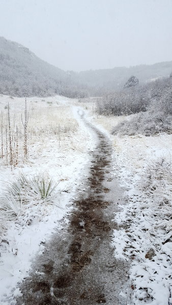 Early April snow made for a beautiful day on the Hidden Mesa Trail.