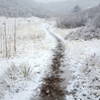 Early April snow made for a beautiful day on the Hidden Mesa Trail.