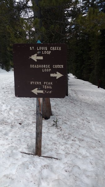 If traveling up the fire road, take a right here to stay on Deadhorse Creek Loop.