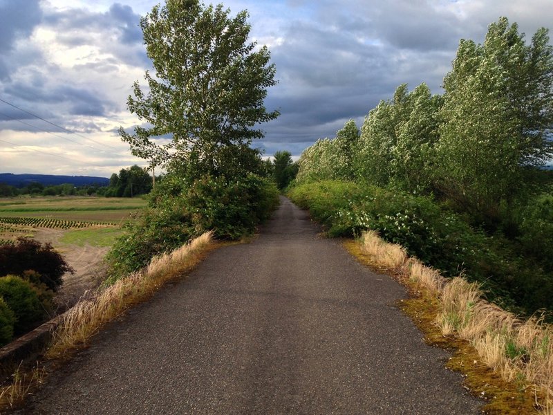 Between Scappoose and Chapman Landing, the Crown Zellerbach Trail