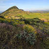 Wildflowers bloom along the climb toward Lizard Rock. On your way up, enjoy views of Mountclef Ridge and the mesa.