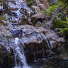 Sycamore Canyon Falls is sublime in the spring.