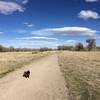 Sand Creek Greenway Trail is pleasantly surfaced with fine gravel, making it easy on both your and Fido's feet.