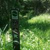 These are the typical trail markers used throughout Goat Island Nature Preserve.