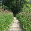 One of the wooden path sections.