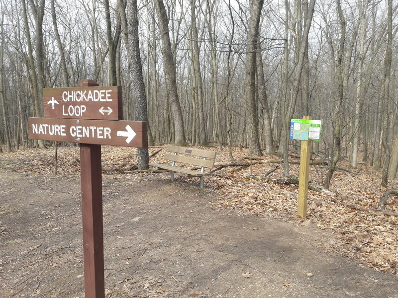 The Chickadee Trail continues along the path labeled "Fox Trail" when traveling from west to east, NOT along the trail labeled "Chickadee Loop" to the left.