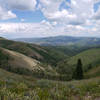 This is a 90 degree panorama centered west toward Lookout Peak from the Great Western Trail near Big Mountain.