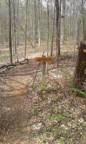 End of Justice Loop at Horton Grove Nature Preserve.