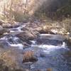 Bottom Creek can be seen and heard babbling past the trail.