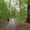 A pair of children take in the sights along the Outer Loop at Houston Arboretum.