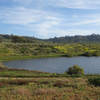A seasonal pond adds to the ambiance at San Dieguito Lagoon.