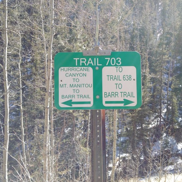 The end of the Heizer Trail at Trail 703 T-junction.