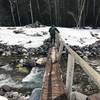 A hiker crosses the log bridge at the wonderland trailhead via Carter Falls/Longmire entrance.