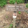 The trailhead for the Chestnut Top Trail is well marked and easy to follow.